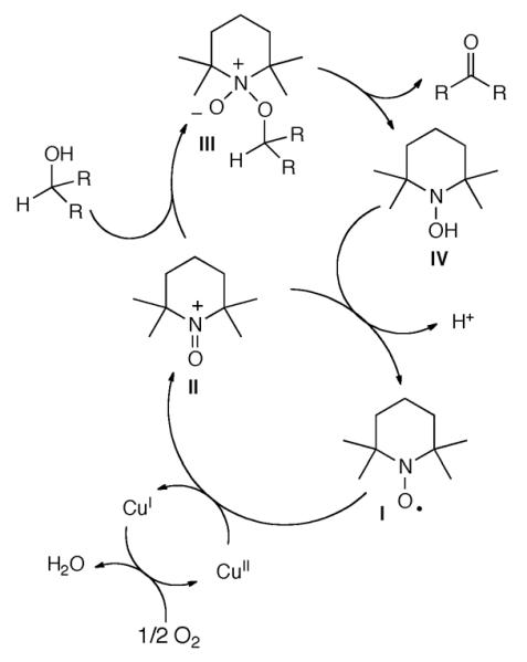 Scheme 221