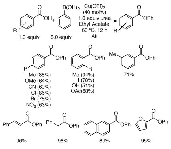 Scheme 181