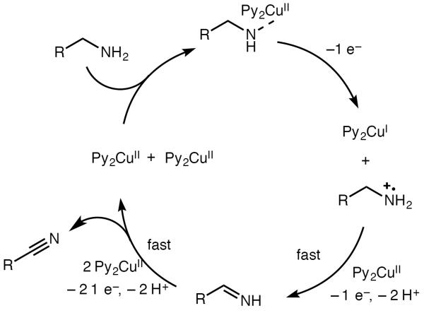 Scheme 561