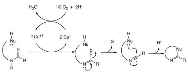 Scheme 343