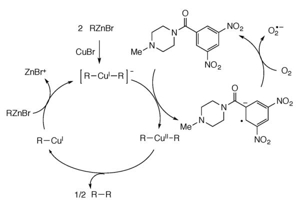 Scheme 164