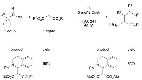 Scheme 546