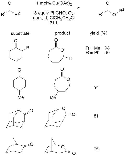 Scheme 302