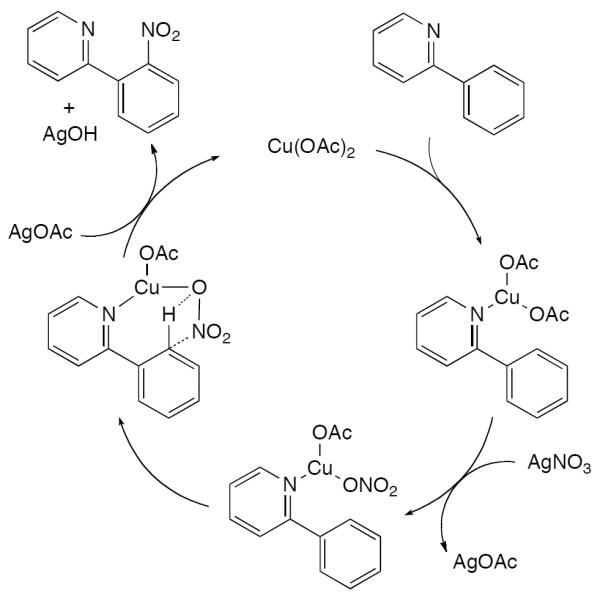 Scheme 113