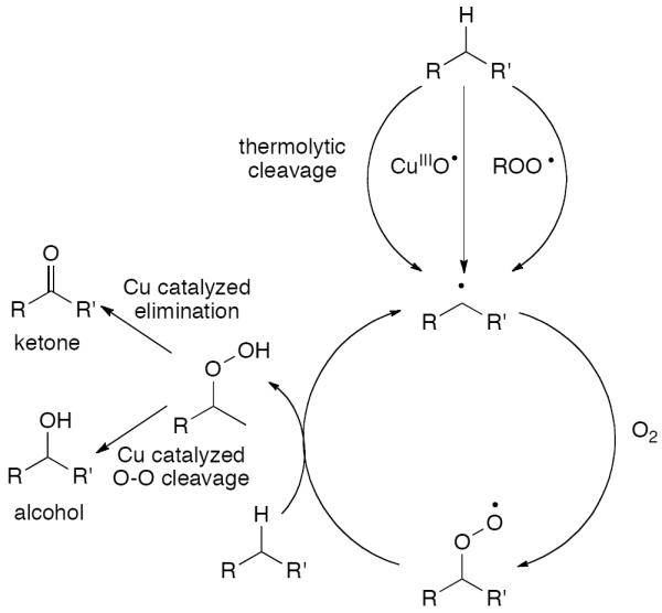 Scheme 16