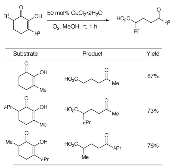 Scheme 310