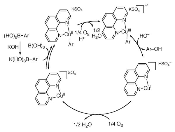 Scheme 178