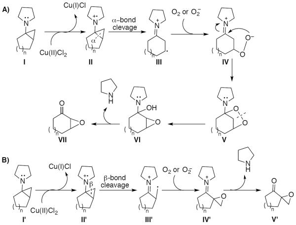 Scheme 594