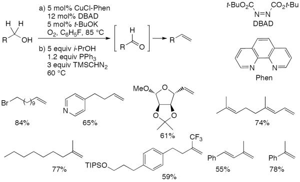 Scheme 255