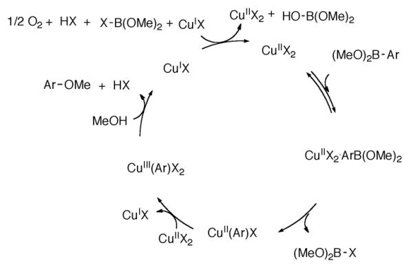 Scheme 186