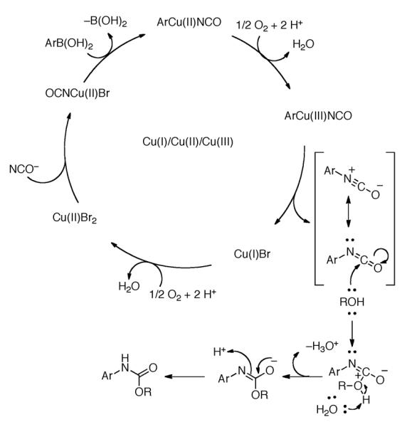 Scheme 171