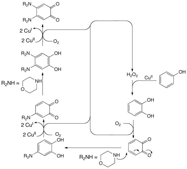 Scheme 439