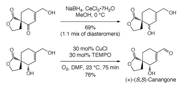 Scheme 238