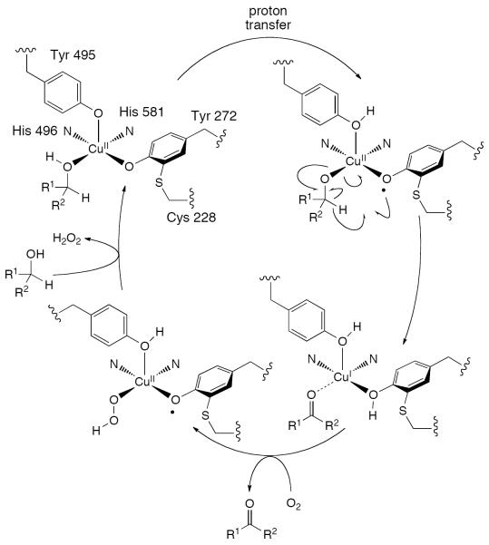 Scheme 241