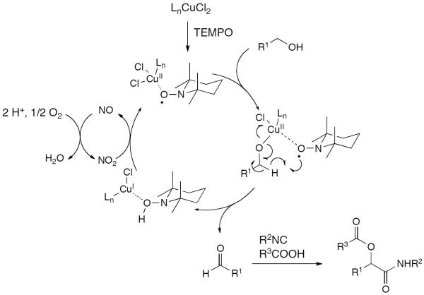 Scheme 254