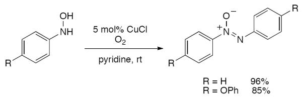 Scheme 516