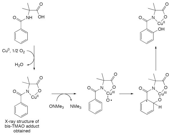 Scheme 131