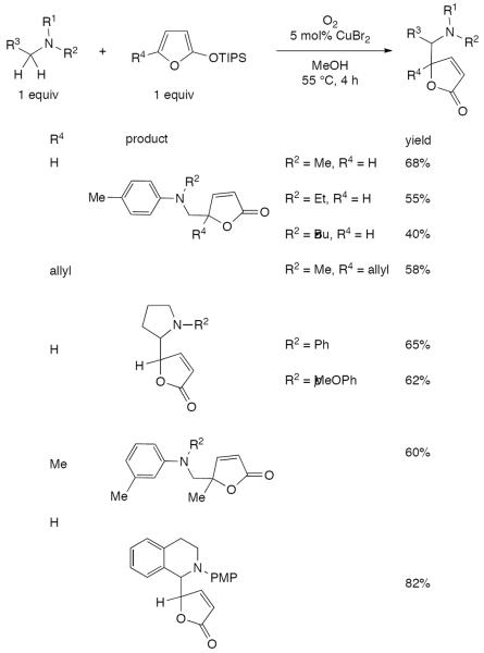 Scheme 548