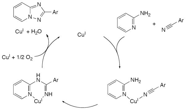 Scheme 610