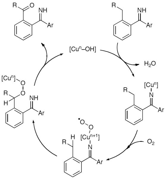 Scheme 12