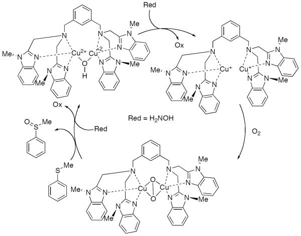 Scheme 628