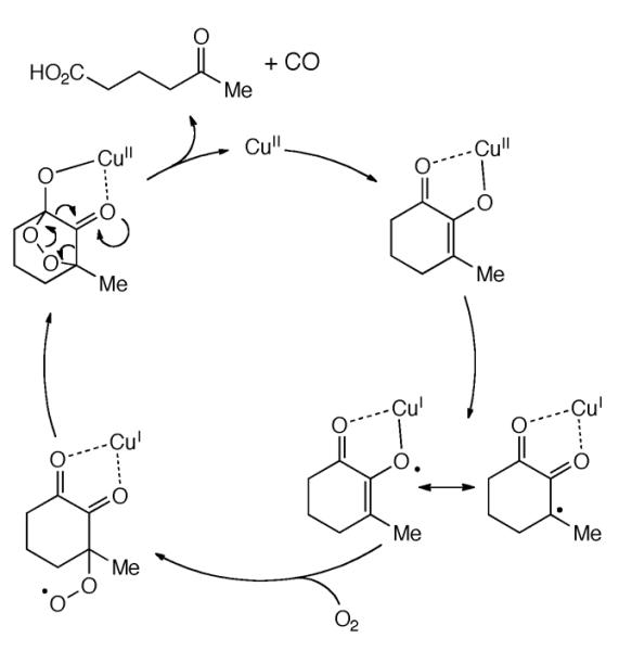 Scheme 311