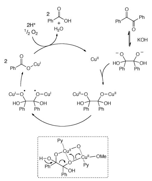 Scheme 308