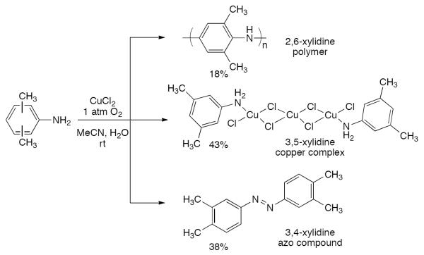 Scheme 518