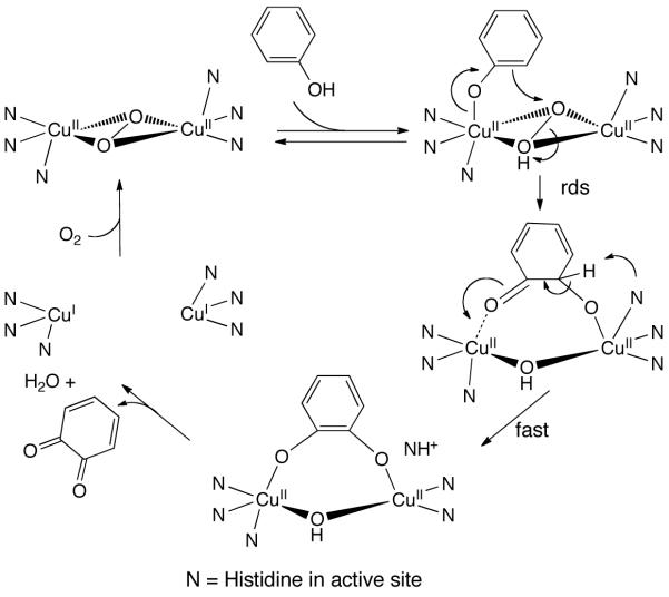 Scheme 437