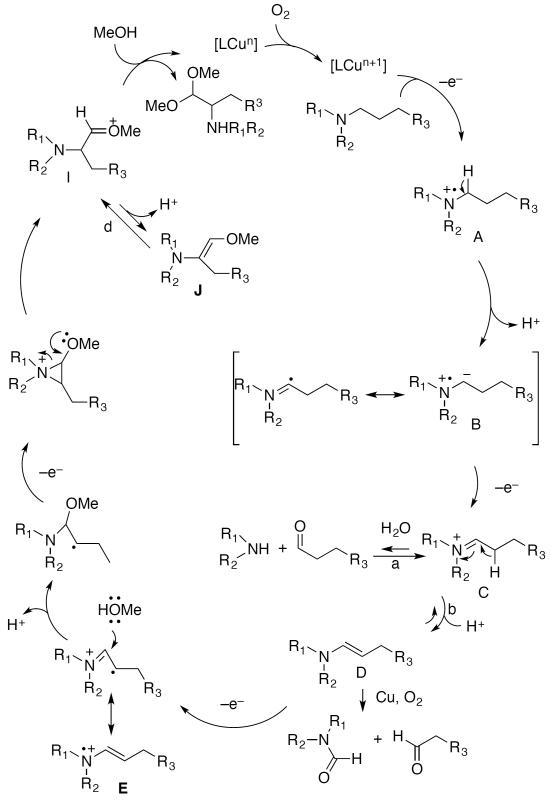 Scheme 588