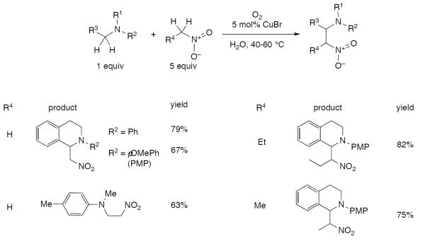 Scheme 545