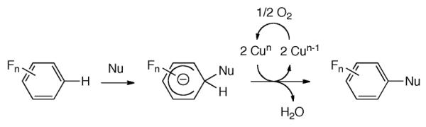 Scheme 156