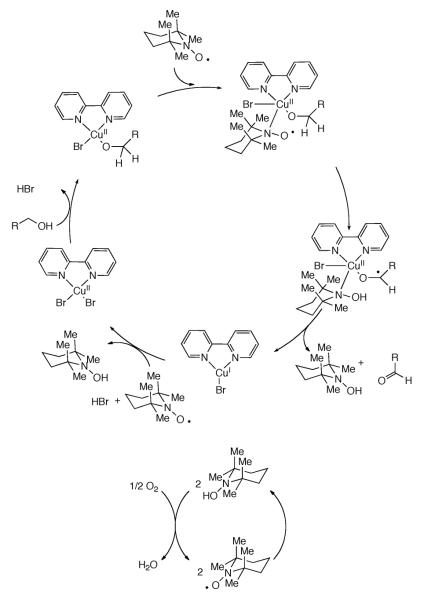 Scheme 219