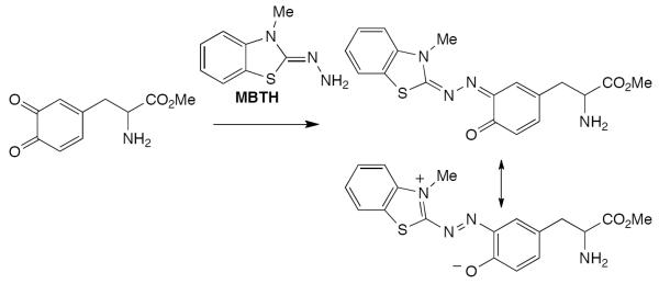 Scheme 456