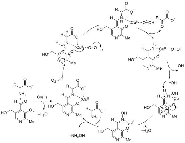 Scheme 564