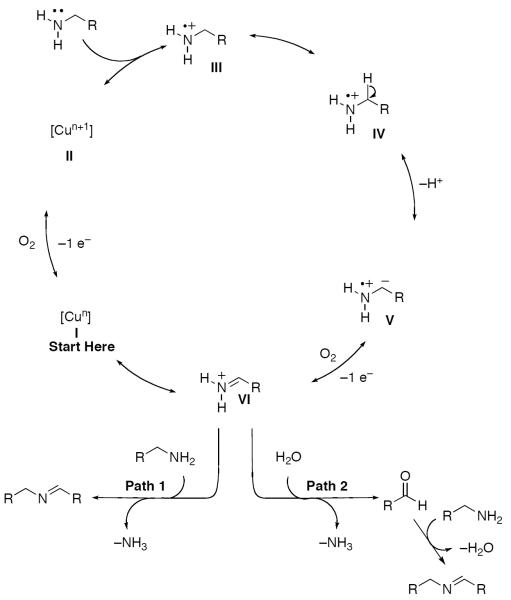 Scheme 571