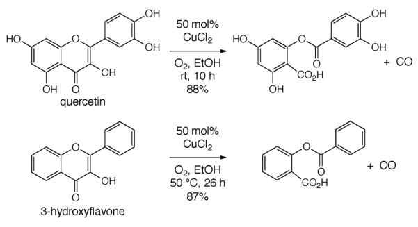 Scheme 313