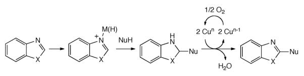 Scheme 155