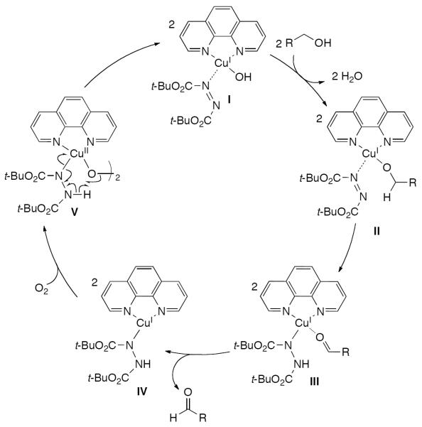 Scheme 240