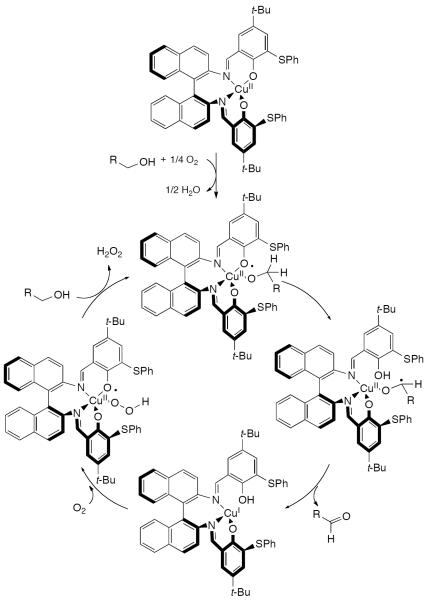 Scheme 242