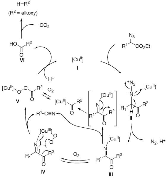 Scheme 614