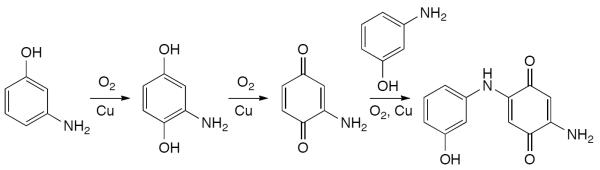 Scheme 534