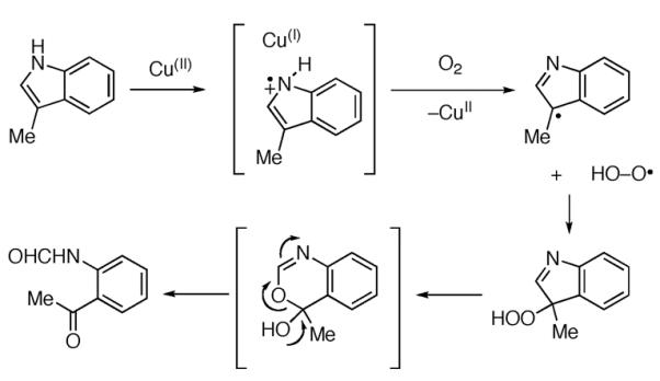 Scheme 359