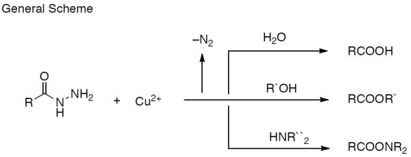 Scheme 602