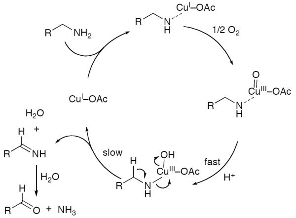 Scheme 562