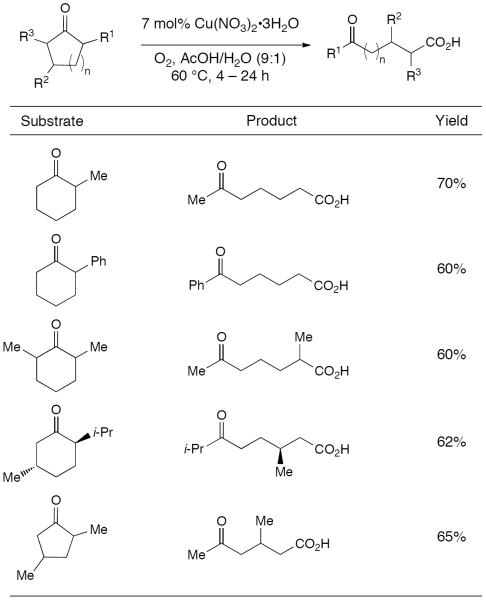 Scheme 283