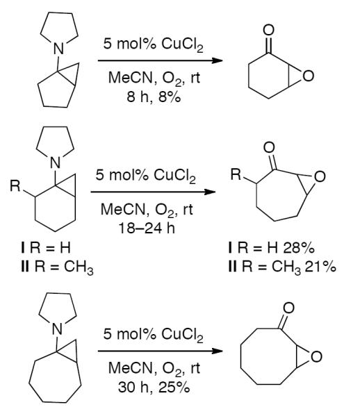 Scheme 593