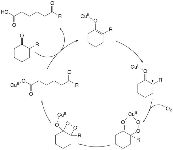 Scheme 284