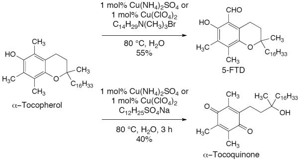 Scheme 484