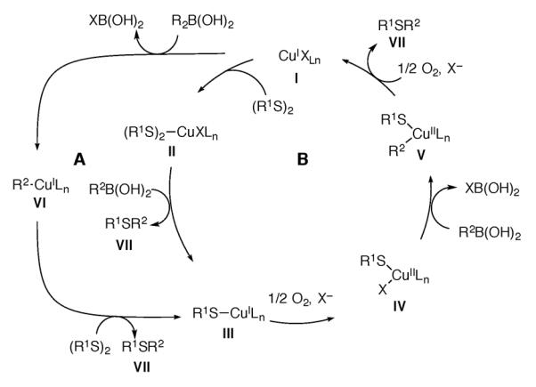 Scheme 193